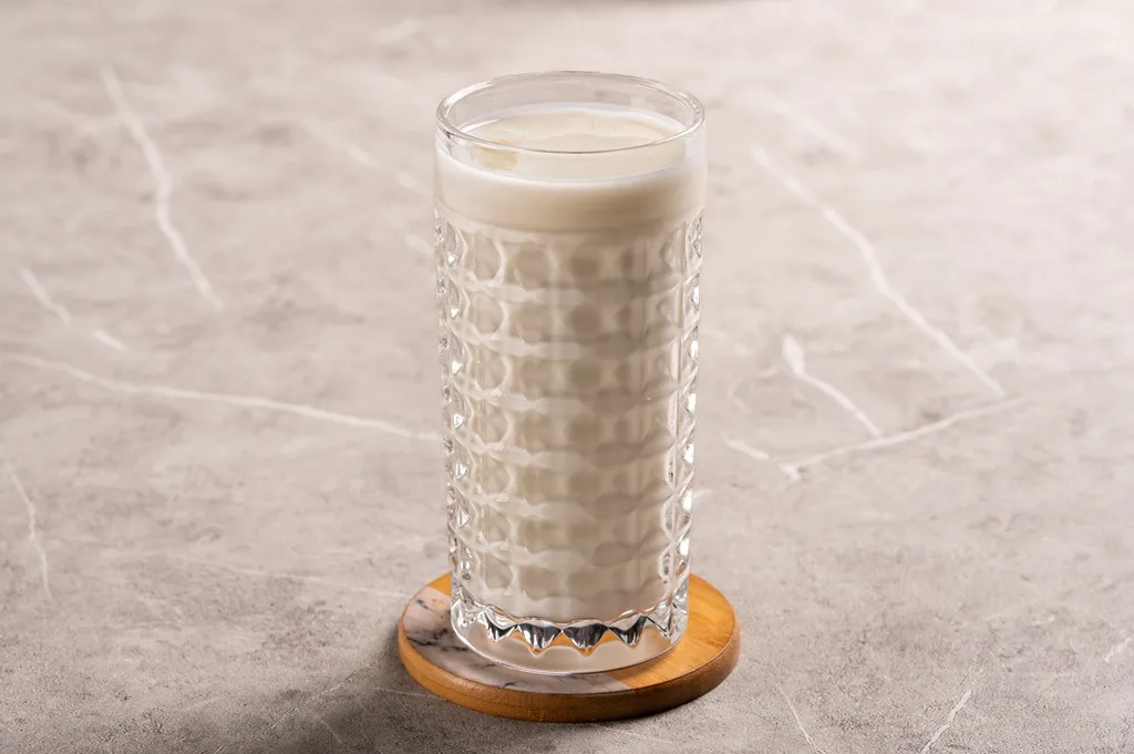 Cup of Erbil Yogurt